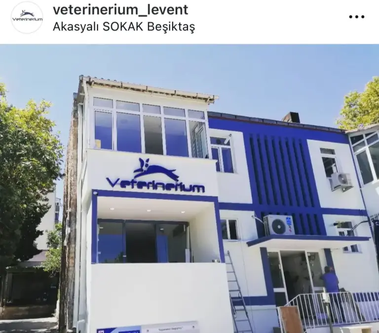 veterinerium 2df750fd