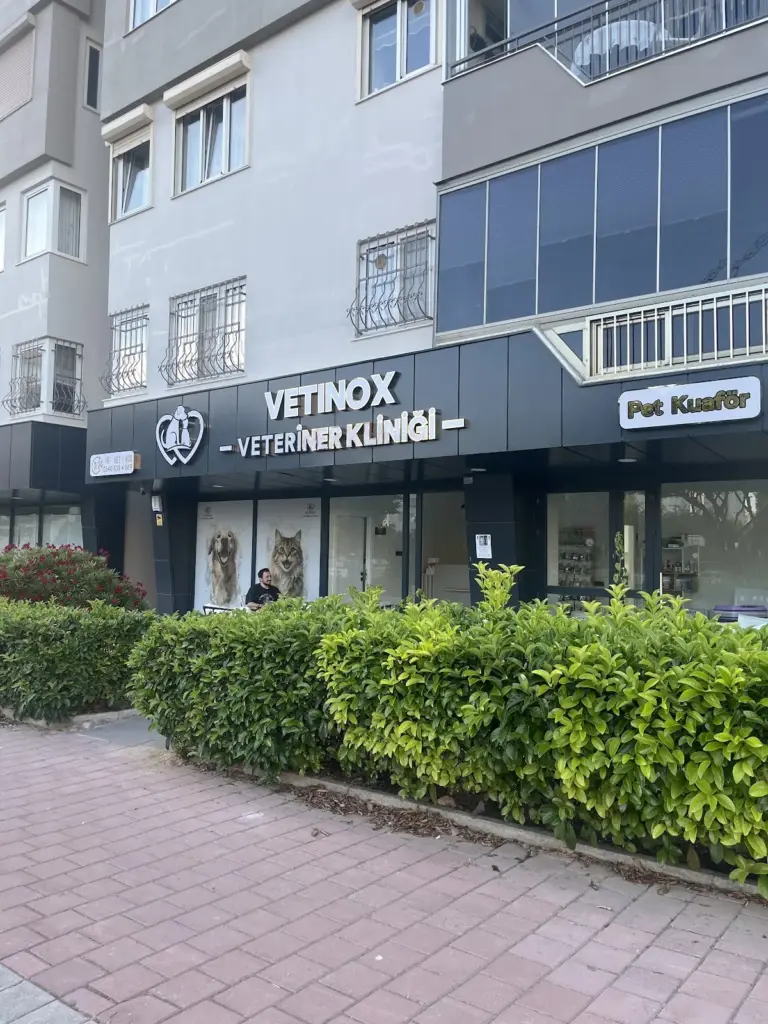 vetinox veteriner klinigi 77cd82eb