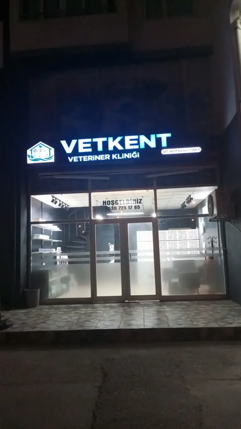 vetkent veteriner klinigi adana 6f44278e
