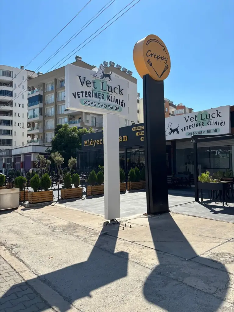 vetluck veteriner klinigi a2845584
