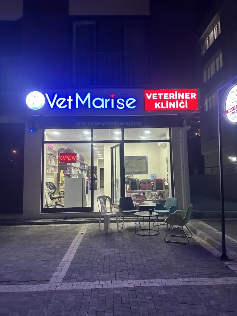 vetmarise veteriner klinigi c8a8ac08
