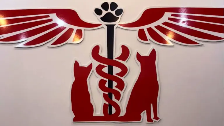 vetmedica uskudar veteriner klinigi 7 24 acil veteriner fac3f581