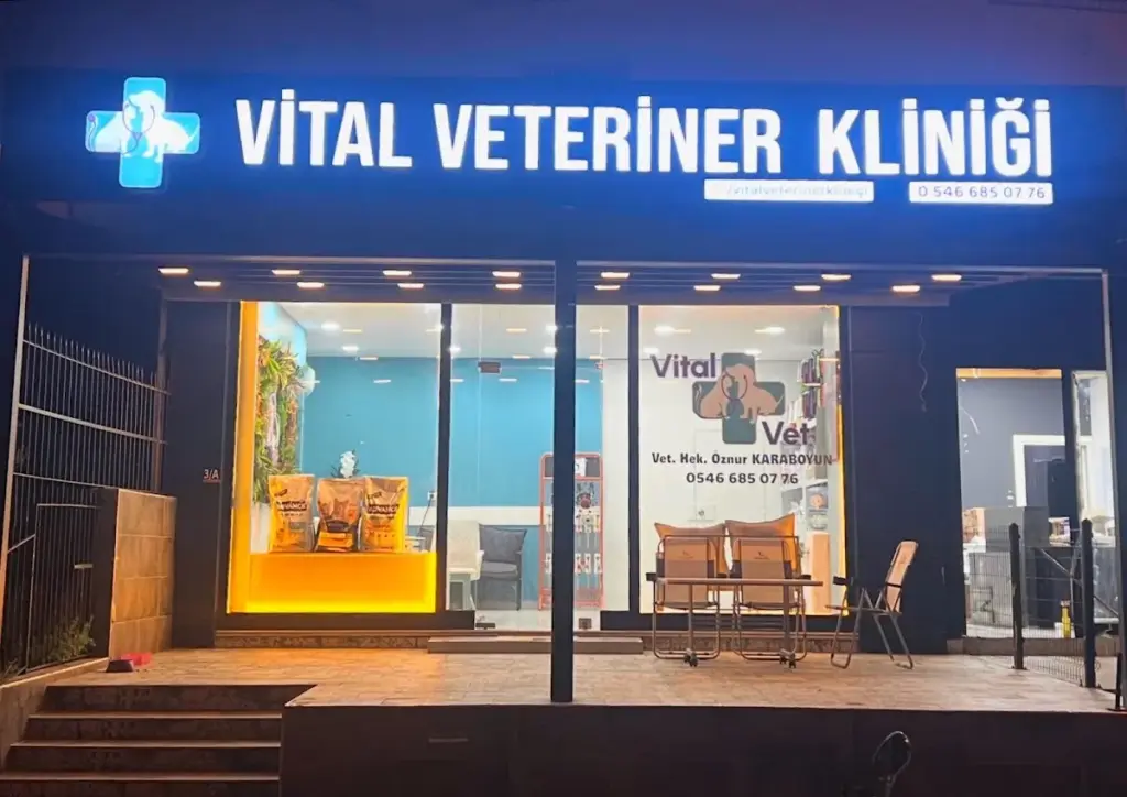 vital veteriner klinigi 25b876de