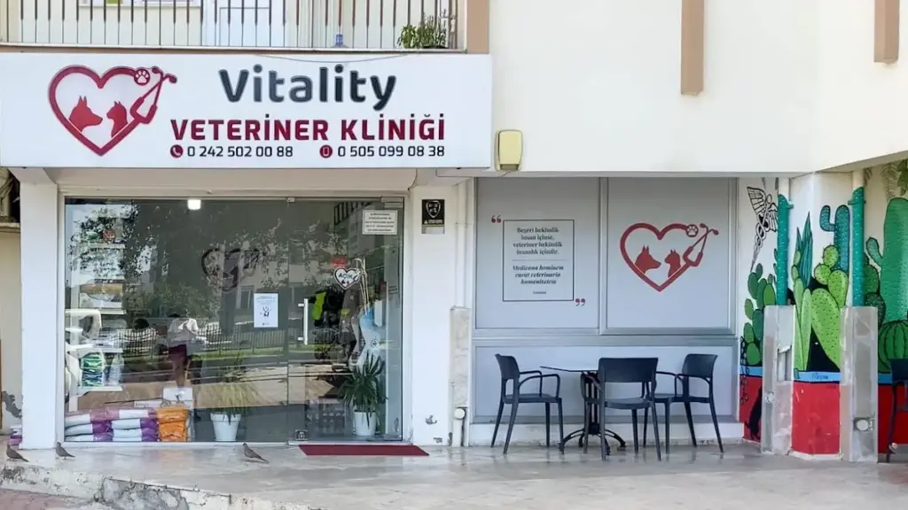 vitality veteriner klinigi 9691e0ab