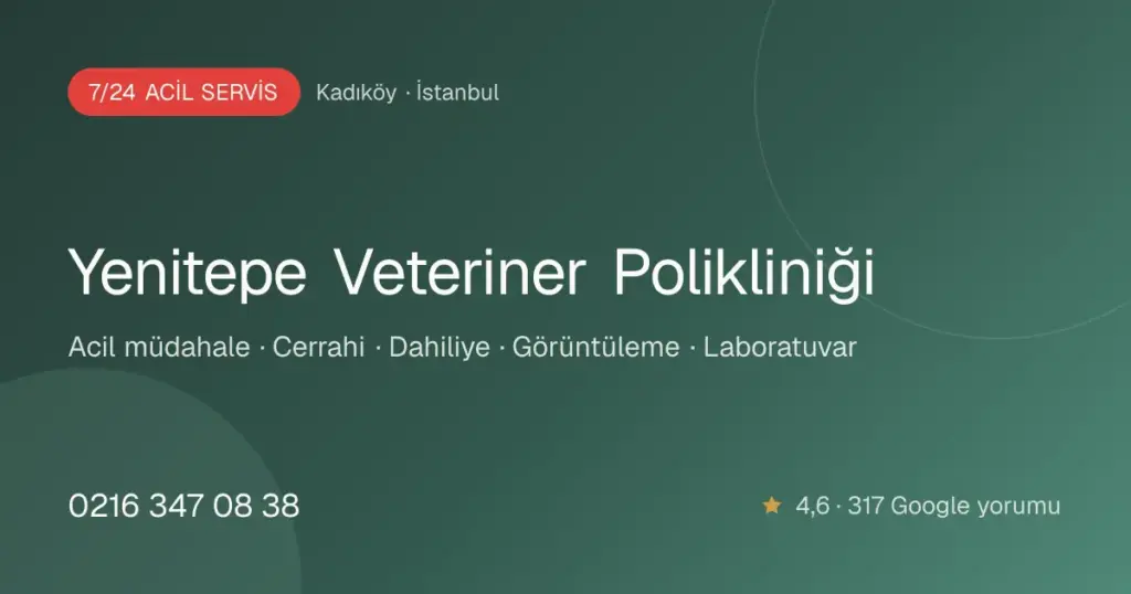yenitepe veteriner poliklinigi 7 24 acil mudahale profile PAJvIO