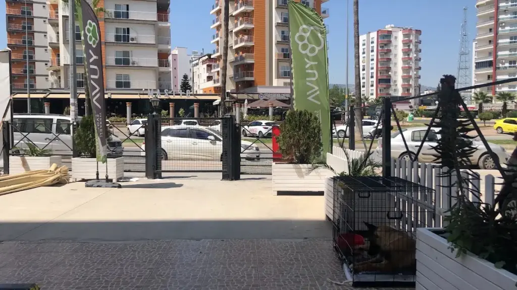 yuva veteriner saglik merkezi 10a263c2