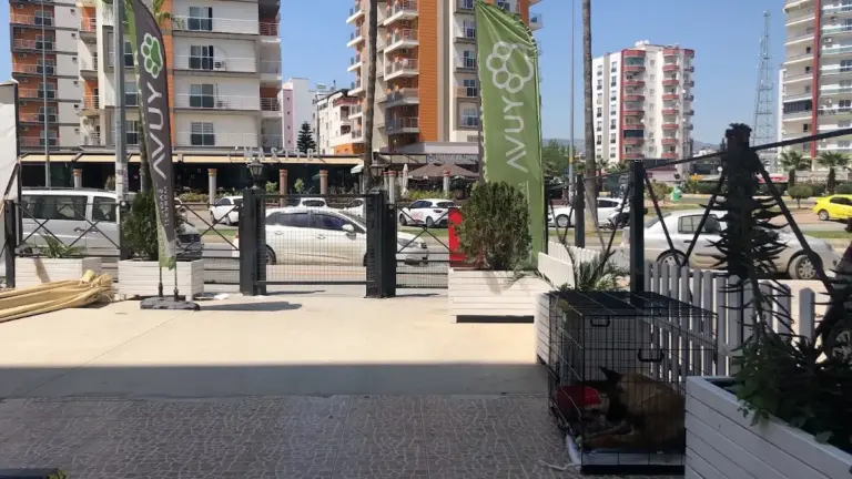 Yuva Veteriner Sağlık Merkezi